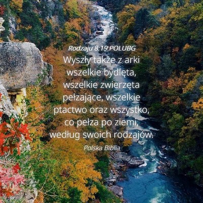 Picture 04 - Rodzaju 8:19 POLUBG - Wyszły także z arki wszelkie bydlęta, wszelkie - Bible Verse Picture