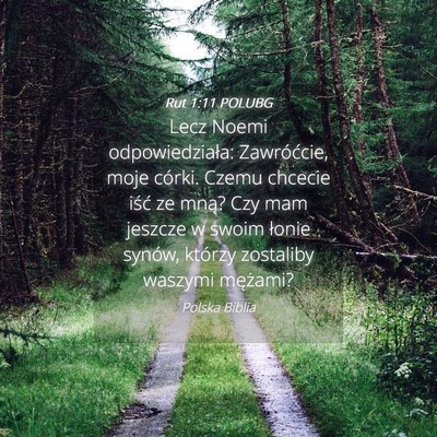 Picture 04 - Rut 1:11 POLUBG - Lecz Noemi odpowiedziała: Zawróćcie, moje - Bible Verse Picture