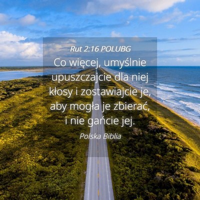 Picture 04 - Rut 2:16 POLUBG - Co więcej, umyślnie upuszczajcie dla niej - Bible Verse Picture