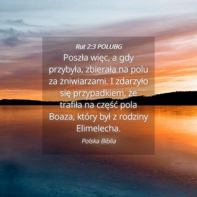 Picture 04 - Rut 2:3 POLUBG - Poszła więc, a gdy przybyła, zbierała na polu - Bible Verse Picture