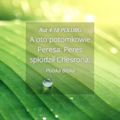 Picture 04 - Rut 4:18 POLUBG - A oto potomkowie Peresa: Peres spłodził - Bible Verse Picture