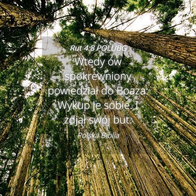 Picture 04 - Rut 4:8 POLUBG - Wtedy ów spokrewniony powiedział do Boaza: - Bible Verse Picture