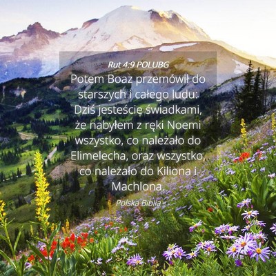 Picture 04 - Rut 4:9 POLUBG - Potem Boaz przemówił do starszych i całego - Bible Verse Picture