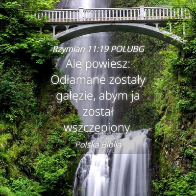 Picture 04 - Rzymian 11:19 POLUBG - Ale powiesz: Odłamane zostały gałęzie, abym - Bible Verse Picture