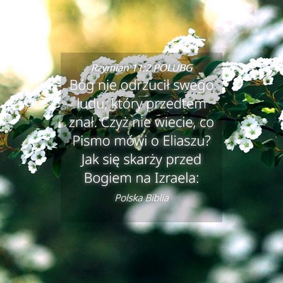 Picture 04 - Rzymian 11:2 POLUBG - Bóg nie odrzucił swego ludu, który przedtem - Bible Verse Picture