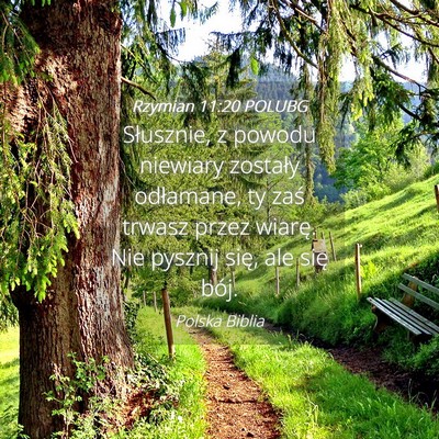 Picture 04 - Rzymian 11:20 POLUBG - Słusznie, z powodu niewiary zostały odłamane, - Bible Verse Picture