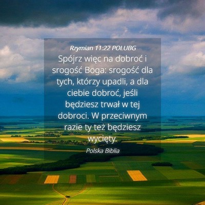 Picture 04 - Rzymian 11:22 POLUBG - Spójrz więc na dobroć i srogość Boga: - Bible Verse Picture