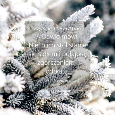 Picture 04 - Rzymian 11:9 POLUBG - A Dawid mówi: Niech ich stół stanie się - Bible Verse Picture