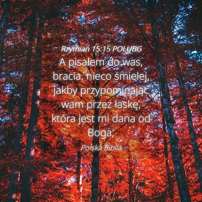 Picture 04 - Rzymian 15:15 POLUBG - A pisałem do was, bracia, nieco śmielej, jakby - Bible Verse Picture