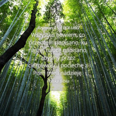 Picture 04 - Rzymian 15:4 POLUBG - Wszystko bowiem, co przedtem napisano, ku naszej - Bible Verse Picture