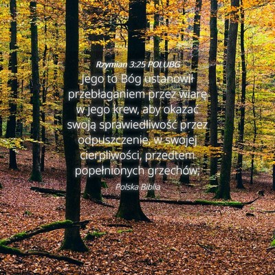 Picture 04 - Rzymian 3:25 POLUBG - Jego to Bóg ustanowił przebłaganiem przez - Bible Verse Picture