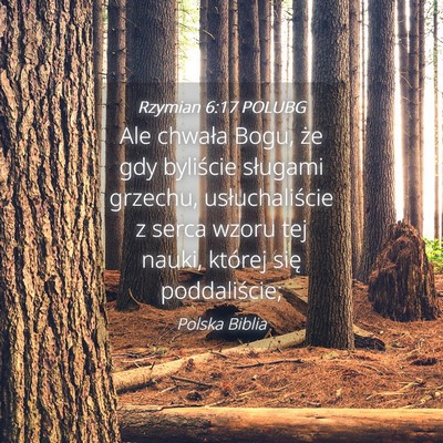 Picture 04 - Rzymian 6:17 POLUBG - Ale chwała Bogu, że gdy byliście sługami - Bible Verse Picture