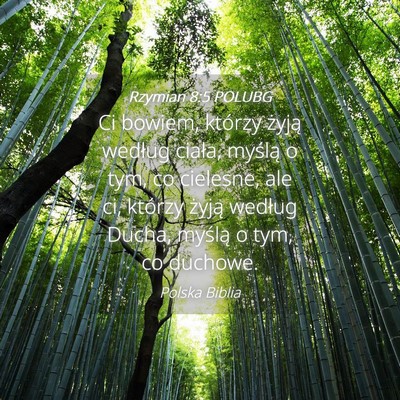 Picture 04 - Rzymian 8:5 POLUBG - Ci bowiem, którzy żyją według ciała, myślą - Bible Verse Picture