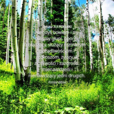 Picture 04 - Tytusa 3:3 POLUBG - Niegdyś bowiem i my byliśmy głupi, oporni, - Bible Verse Picture