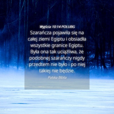 Picture 04 - Wyjścia 10:14 POLUBG - Szarańcza pojawiła się na całej ziemi Egiptu - Bible Verse Picture