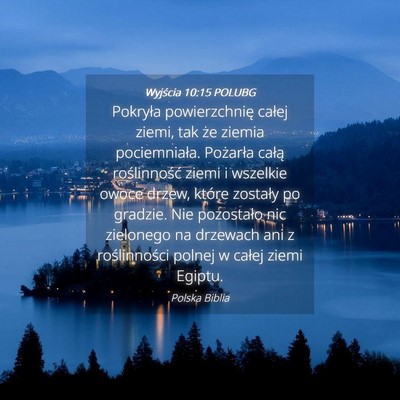 Picture 04 - Wyjścia 10:15 POLUBG - Pokryła powierzchnię całej ziemi, tak że - Bible Verse Picture