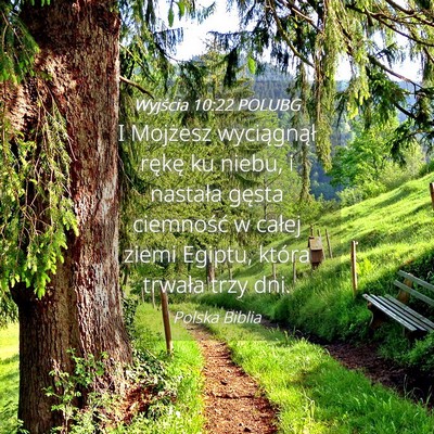 Picture 04 - Wyjścia 10:22 POLUBG - I Mojżesz wyciągnął rękę ku niebu, i - Bible Verse Picture