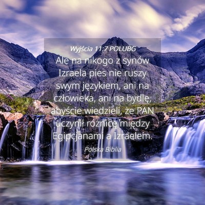 Picture 04 - Wyjścia 11:7 POLUBG - Ale na nikogo z synów Izraela pies nie ruszy - Bible Verse Picture