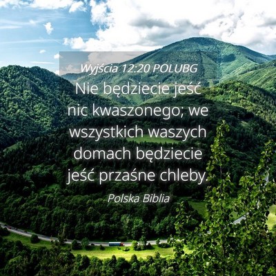 Picture 04 - Wyjścia 12:20 POLUBG - Nie będziecie jeść nic kwaszonego; we - Bible Verse Picture