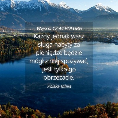 Picture 04 - Wyjścia 12:44 POLUBG - Każdy jednak wasz sługa nabyty za pieniądze - Bible Verse Picture