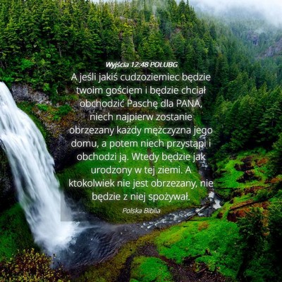 Picture 04 - Wyjścia 12:48 POLUBG - A jeśli jakiś cudzoziemiec będzie twoim - Bible Verse Picture