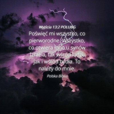 Picture 04 - Wyjścia 13:2 POLUBG - Poświęć mi wszystko, co pierworodne. Wszystko, - Bible Verse Picture