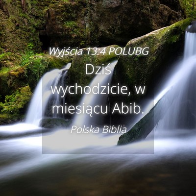 Picture 04 - Wyjścia 13:4 POLUBG - Dziś wychodzicie, w miesiącu - Bible Verse Picture
