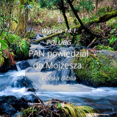 Picture 04 - Wyjścia 14:1 POLUBG - PAN powiedział do - Bible Verse Picture