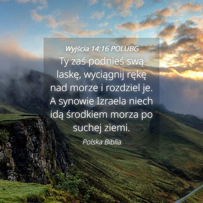 Picture 04 - Wyjścia 14:16 POLUBG - Ty zaś podnieś swą laskę, wyciągnij rękę - Bible Verse Picture