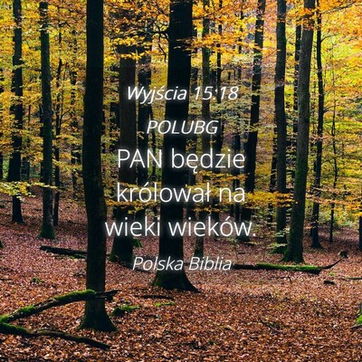 Picture 04 - Wyjścia 15:18 POLUBG - PAN będzie królował na wieki - Bible Verse Picture