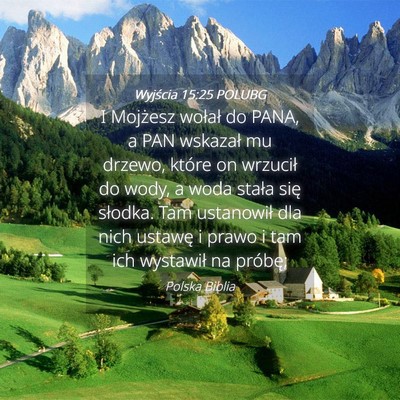 Picture 04 - Wyjścia 15:25 POLUBG - I Mojżesz wołał do PANA, a PAN wskazał mu - Bible Verse Picture