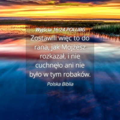 Picture 04 - Wyjścia 16:24 POLUBG - Zostawili więc to do rana, jak Mojżesz - Bible Verse Picture