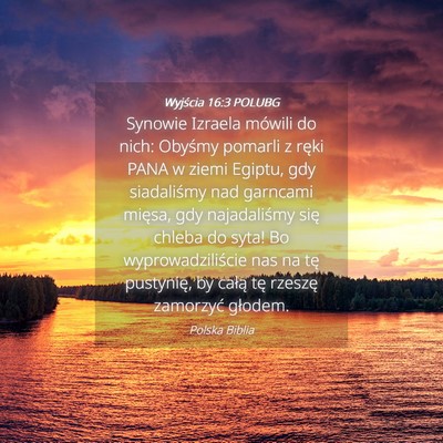 Picture 04 - Wyjścia 16:3 POLUBG - Synowie Izraela mówili do nich: Obyśmy pomarli - Bible Verse Picture