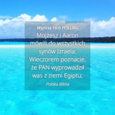 Picture 04 - Wyjścia 16:6 POLUBG - Mojżesz i Aaron mówili do wszystkich synów - Bible Verse Picture