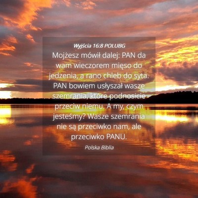 Picture 04 - Wyjścia 16:8 POLUBG - Mojżesz mówił dalej: PAN da wam wieczorem - Bible Verse Picture