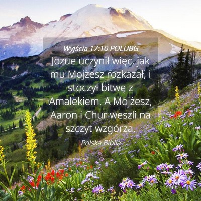 Picture 04 - Wyjścia 17:10 POLUBG - Jozue uczynił więc, jak mu Mojżesz rozkazał, - Bible Verse Picture