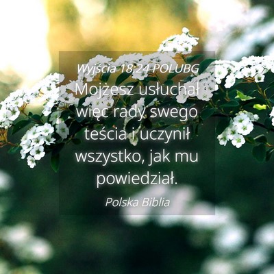 Picture 04 - Wyjścia 18:24 POLUBG - Mojżesz usłuchał więc rady swego teścia i - Bible Verse Picture