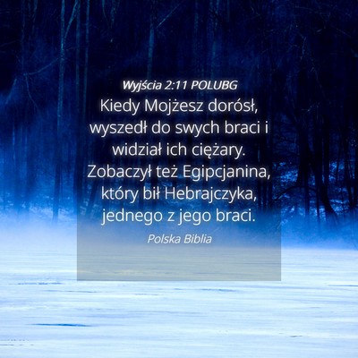 Picture 04 - Wyjścia 2:11 POLUBG - Kiedy Mojżesz dorósł, wyszedł do swych braci - Bible Verse Picture