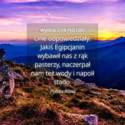 Picture 04 - Wyjścia 2:19 POLUBG - One odpowiedziały: Jakiś Egipcjanin wybawił - Bible Verse Picture