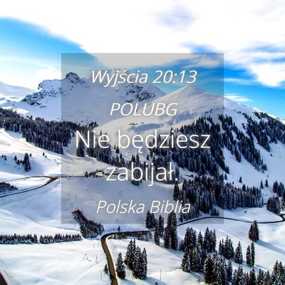 Picture 04 - Wyjścia 20:13 POLUBG - Nie będziesz - Bible Verse Picture