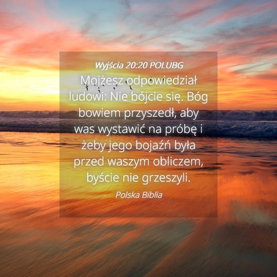 Picture 04 - Wyjścia 20:20 POLUBG - Mojżesz odpowiedział ludowi: Nie bójcie się. - Bible Verse Picture