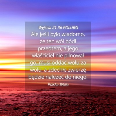 Picture 04 - Wyjścia 21:36 POLUBG - Ale jeśli było wiadomo, że ten wół bódł - Bible Verse Picture