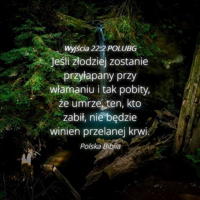 Picture 04 - Wyjścia 22:2 POLUBG - Jeśli złodziej zostanie przyłapany przy - Bible Verse Picture