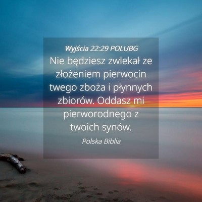Picture 04 - Wyjścia 22:29 POLUBG - Nie będziesz zwlekał ze złożeniem pierwocin - Bible Verse Picture