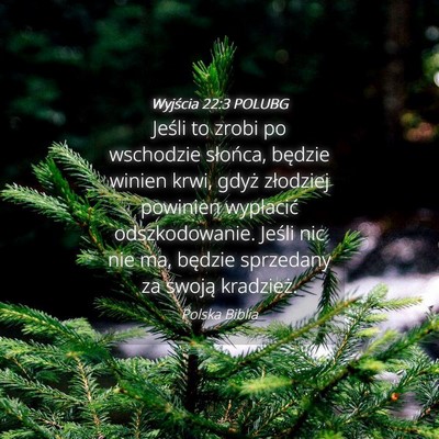 Picture 04 - Wyjścia 22:3 POLUBG - Jeśli to zrobi po wschodzie słońca, będzie - Bible Verse Picture