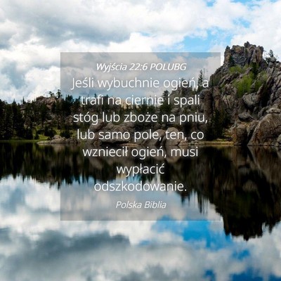 Picture 04 - Wyjścia 22:6 POLUBG - Jeśli wybuchnie ogień, a trafi na ciernie i - Bible Verse Picture