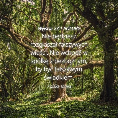 Picture 04 - Wyjścia 23:1 POLUBG - Nie będziesz rozgłaszał fałszywych wieści. - Bible Verse Picture