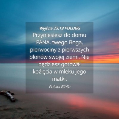 Picture 04 - Wyjścia 23:19 POLUBG - Przyniesiesz do domu PANA, twego Boga, pierwociny - Bible Verse Picture