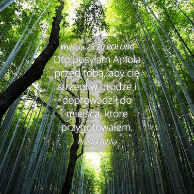 Picture 04 - Wyjścia 23:20 POLUBG - Oto posyłam Anioła przed tobą, aby cię - Bible Verse Picture