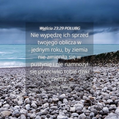 Picture 04 - Wyjścia 23:29 POLUBG - Nie wypędzę ich sprzed twojego oblicza w jednym - Bible Verse Picture